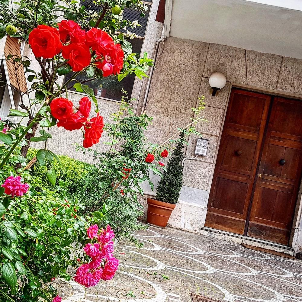 B&B Aurelia Garden Rooms Roma Dış mekan fotoğraf